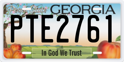 GA license plate PTE2761