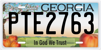 GA license plate PTE2763