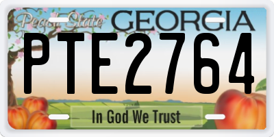 GA license plate PTE2764