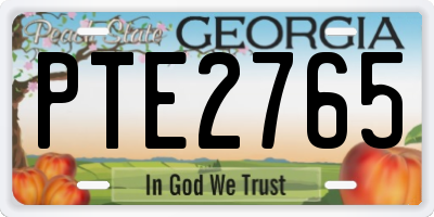GA license plate PTE2765