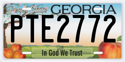 GA license plate PTE2772