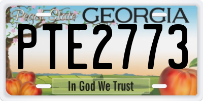 GA license plate PTE2773