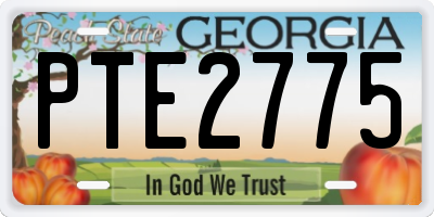 GA license plate PTE2775