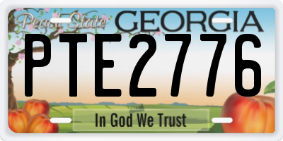 GA license plate PTE2776
