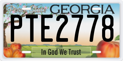 GA license plate PTE2778