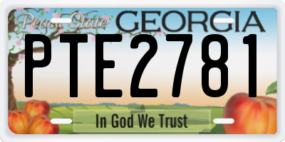 GA license plate PTE2781