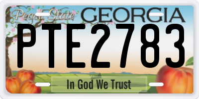 GA license plate PTE2783