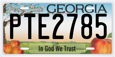 GA license plate PTE2785