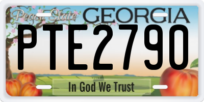 GA license plate PTE2790