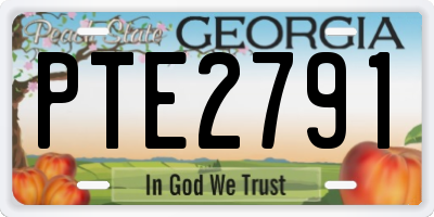 GA license plate PTE2791