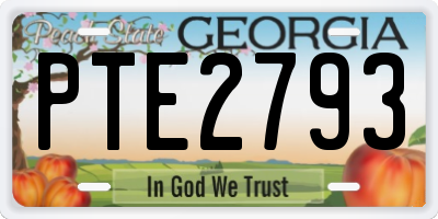 GA license plate PTE2793