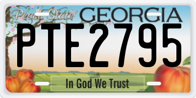GA license plate PTE2795
