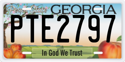 GA license plate PTE2797
