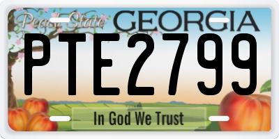 GA license plate PTE2799