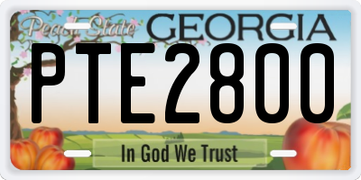 GA license plate PTE2800