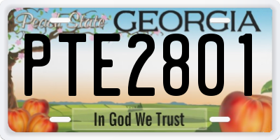 GA license plate PTE2801