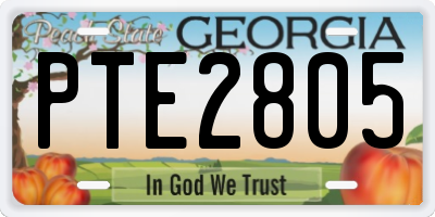 GA license plate PTE2805