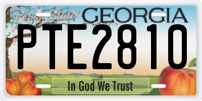 GA license plate PTE2810