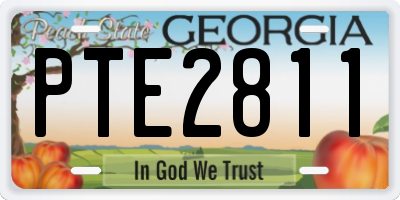 GA license plate PTE2811