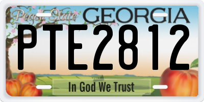 GA license plate PTE2812
