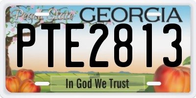 GA license plate PTE2813