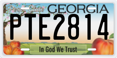 GA license plate PTE2814