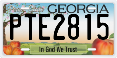 GA license plate PTE2815