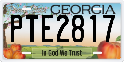 GA license plate PTE2817