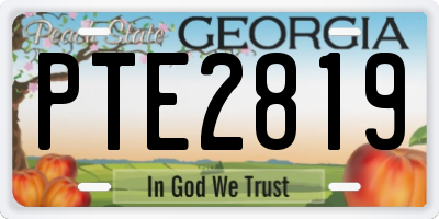 GA license plate PTE2819