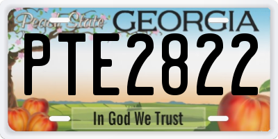 GA license plate PTE2822