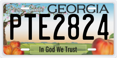 GA license plate PTE2824
