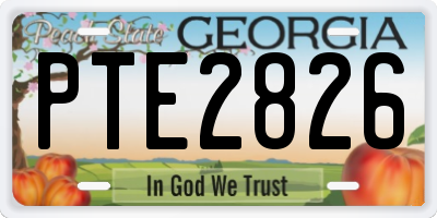 GA license plate PTE2826