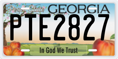 GA license plate PTE2827