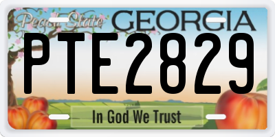 GA license plate PTE2829