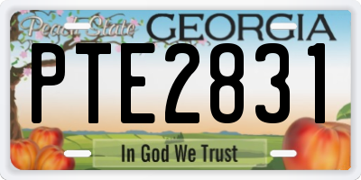 GA license plate PTE2831