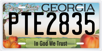 GA license plate PTE2835