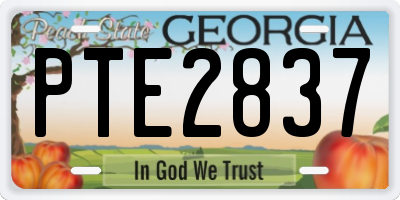 GA license plate PTE2837