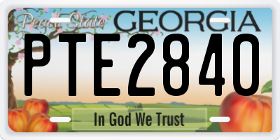 GA license plate PTE2840