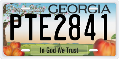 GA license plate PTE2841