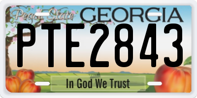 GA license plate PTE2843