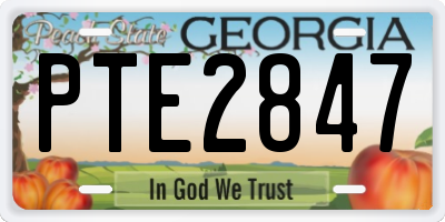 GA license plate PTE2847