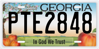 GA license plate PTE2848
