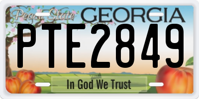 GA license plate PTE2849