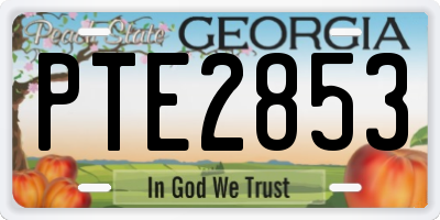 GA license plate PTE2853