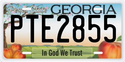 GA license plate PTE2855