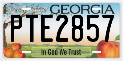 GA license plate PTE2857