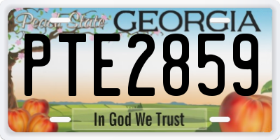 GA license plate PTE2859
