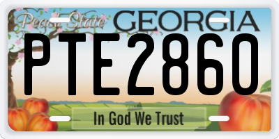 GA license plate PTE2860