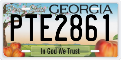GA license plate PTE2861