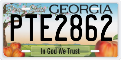 GA license plate PTE2862